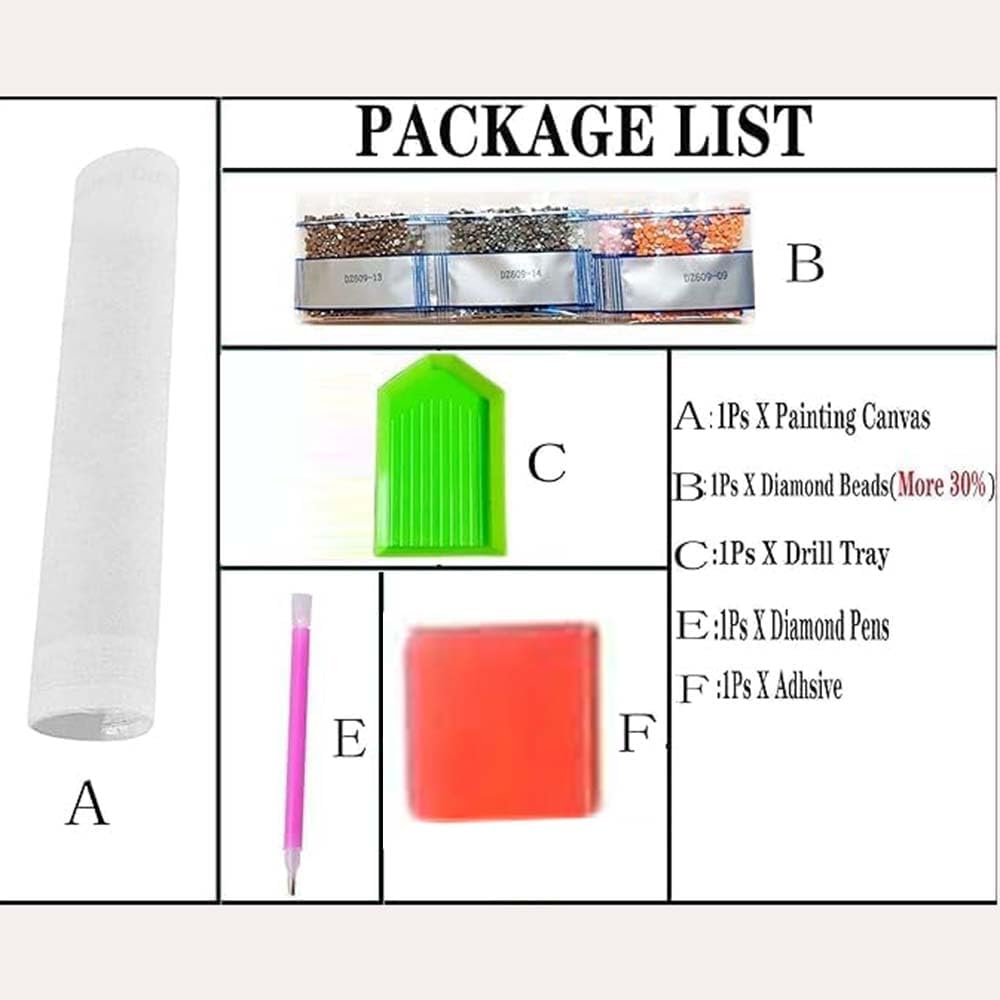 Kits de Pintura com Diamantes  - Resin Art Kit For Beginners avaliação e preço